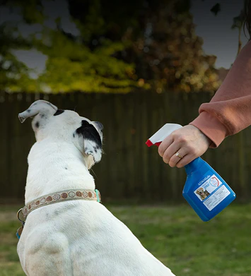 Healthy Animals, Happy Savings