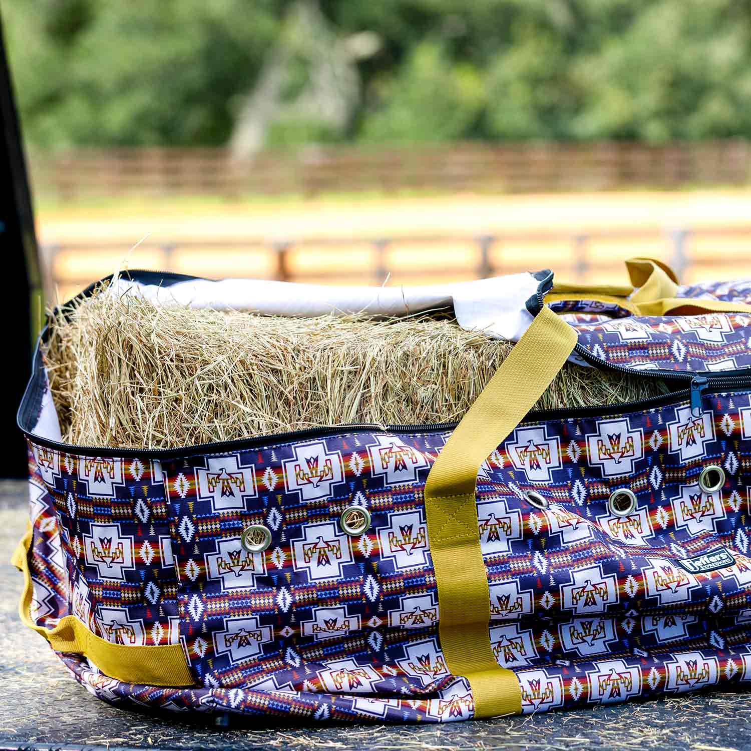 Thumbnail 15