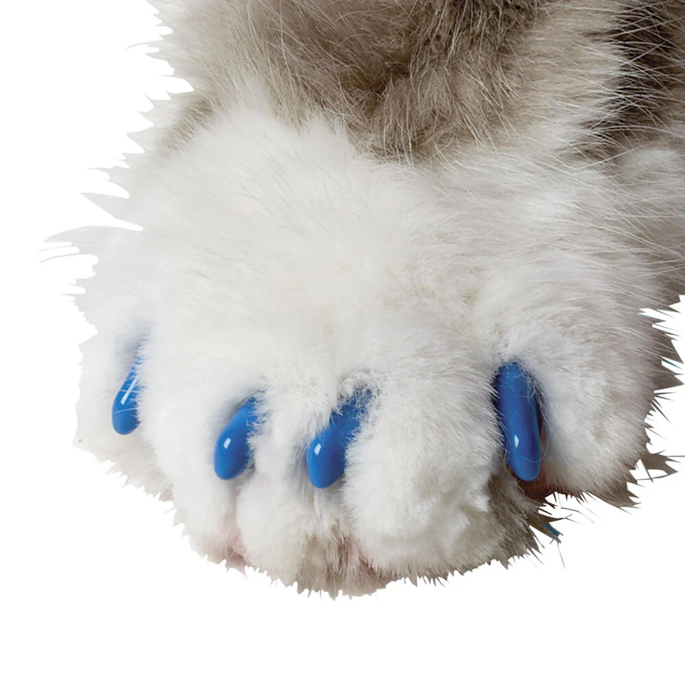 Thumbnail 13
