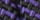 Thumbnail 22