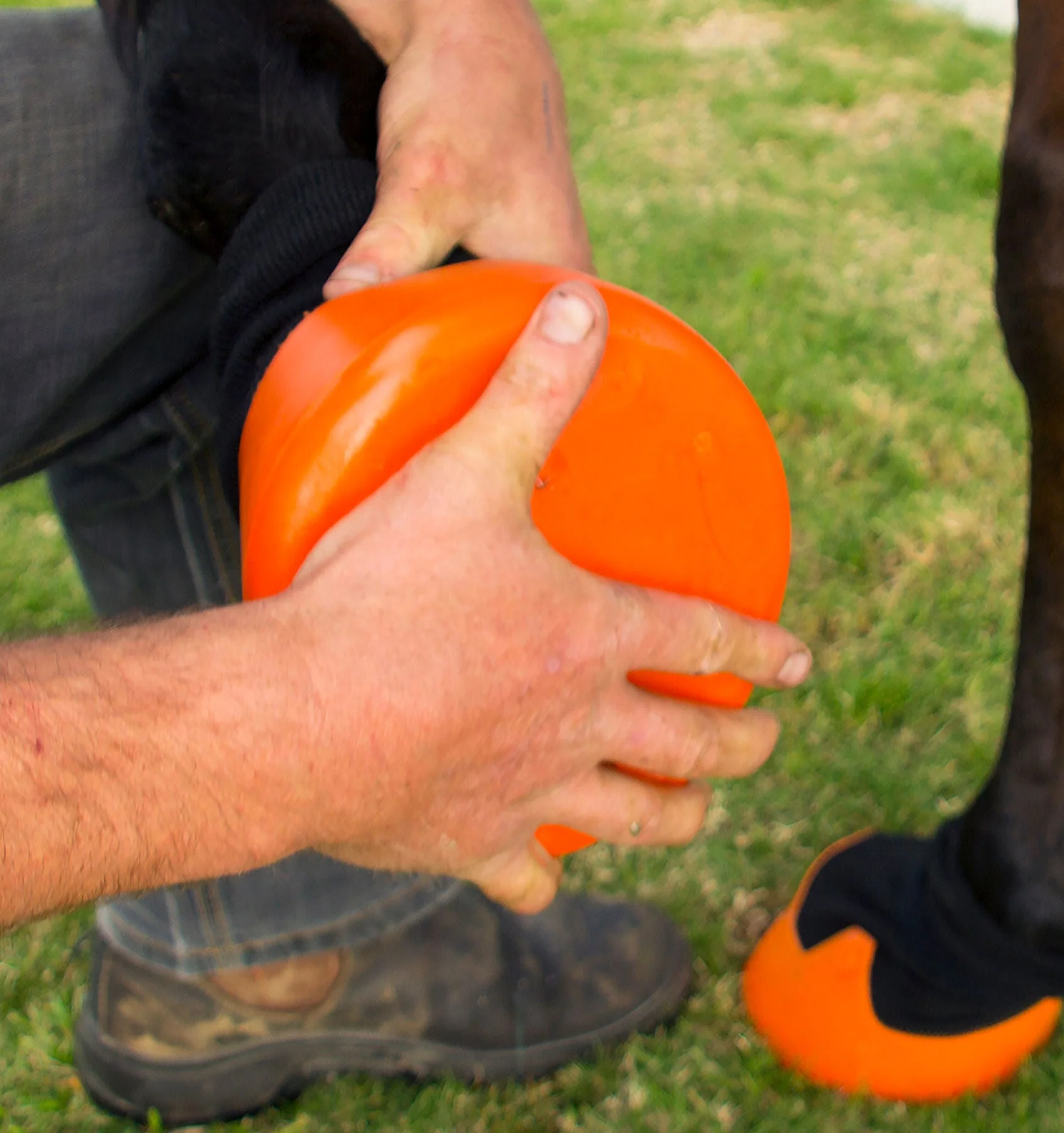 Thumbnail 11